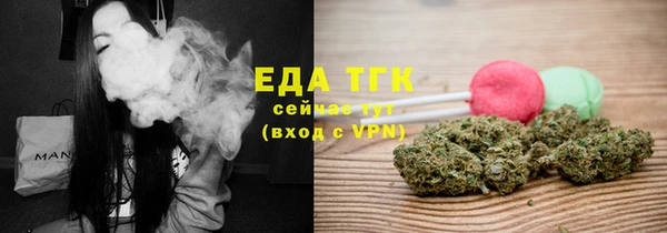 индика Вязники