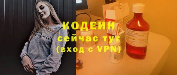 индика Вязники