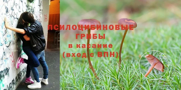 mdma Вяземский