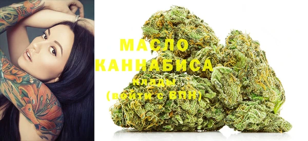 индика Вязники