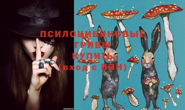 индика Вязники