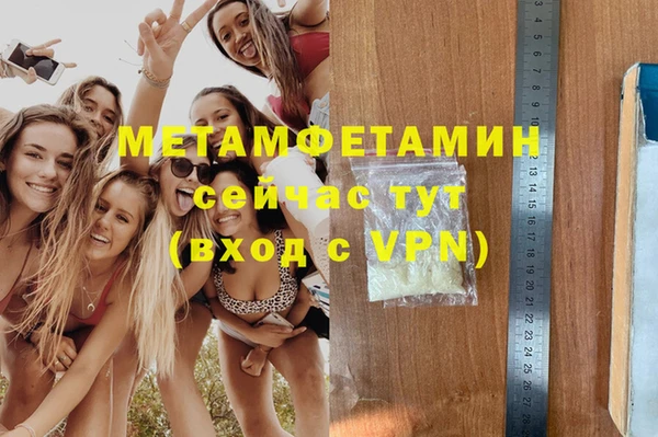 индика Вязники