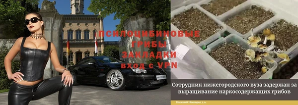 индика Вязники
