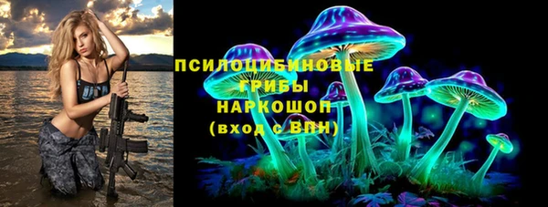 индика Вязники