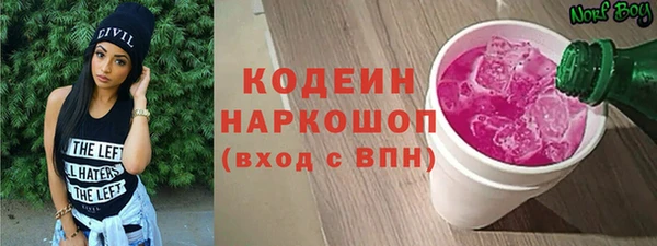 индика Вязники