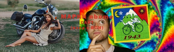 индика Вязники