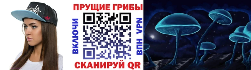 купить  цена  Островной  Псилоцибиновые грибы Magic Shrooms 